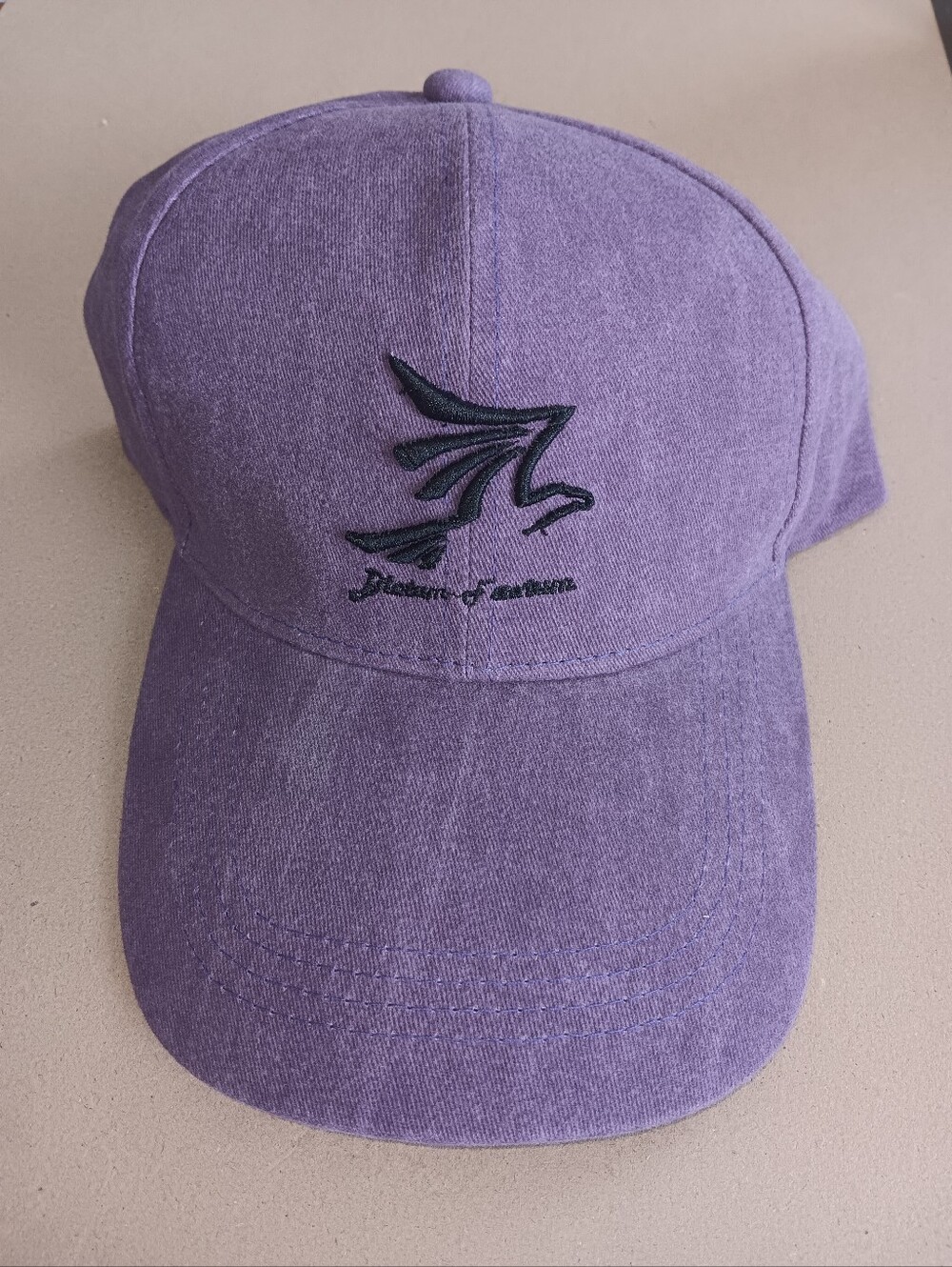 NEW Purple Embroidered Eagle Baseball Cap
